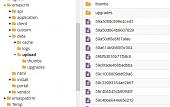 Click image for larger version

Name:	Files under Upload root folder.jpg
Views:	494
Size:	49.0 KB
ID:	41574