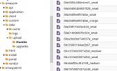 Click image for larger version

Name:	Files under thumbs folder.jpg
Views:	603
Size:	54.3 KB
ID:	41575
