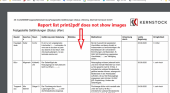 Report list print2pdf does not show the images